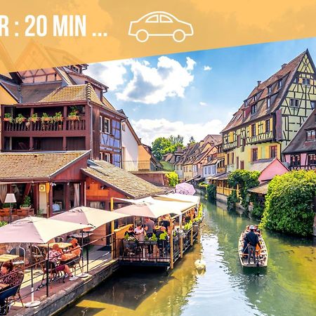 ✧ La Suite ✧ Studio De Charme Route Des Vins Kintzheim Dış mekan fotoğraf
